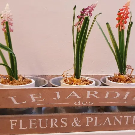 Hotel The Bowers Bar & Restaurant Ballinrobe